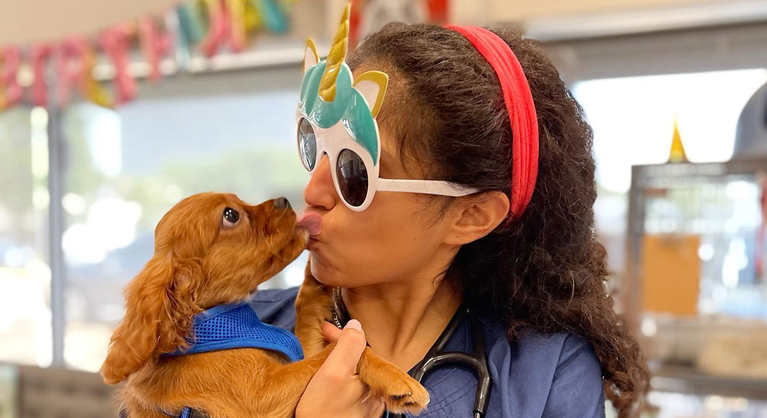 Careers Vet in Houston Richmond Avenue Animal Hospital