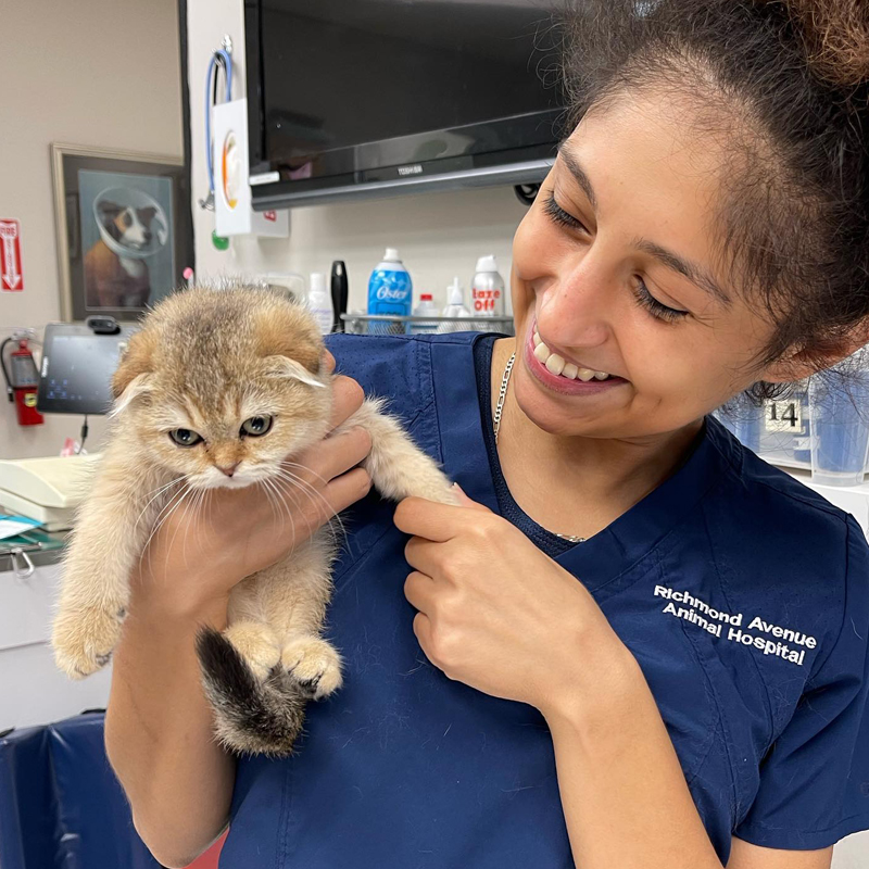 Careers Vet in Houston Richmond Avenue Animal Hospital